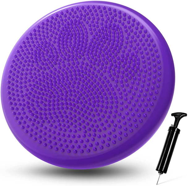 Wobble Cushion Disc